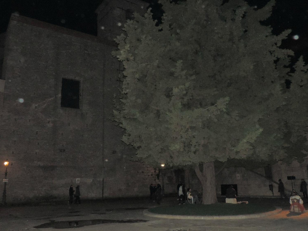 Palazzo Comunale di Mineo景点图片
