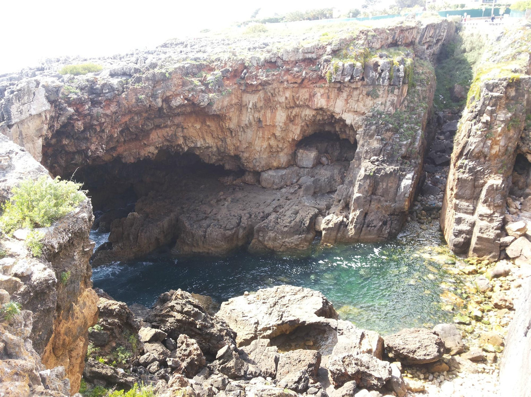 Alpha & Omega Portugal Tours-奥迪韦拉什必去景点