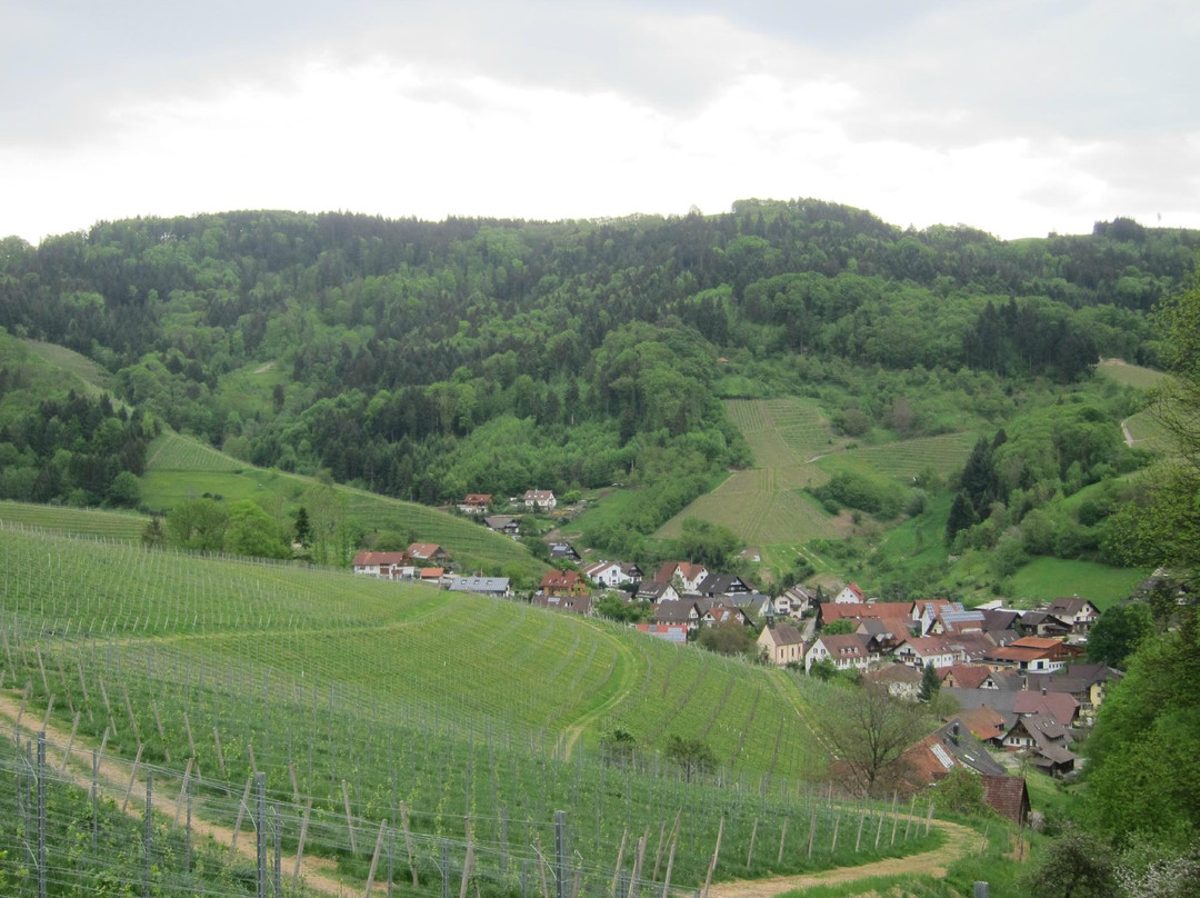 萨尔曼兰德酒店主图