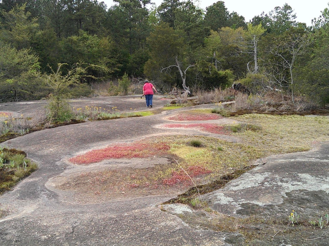 Forty Acre Rock-Kershaw必去景点