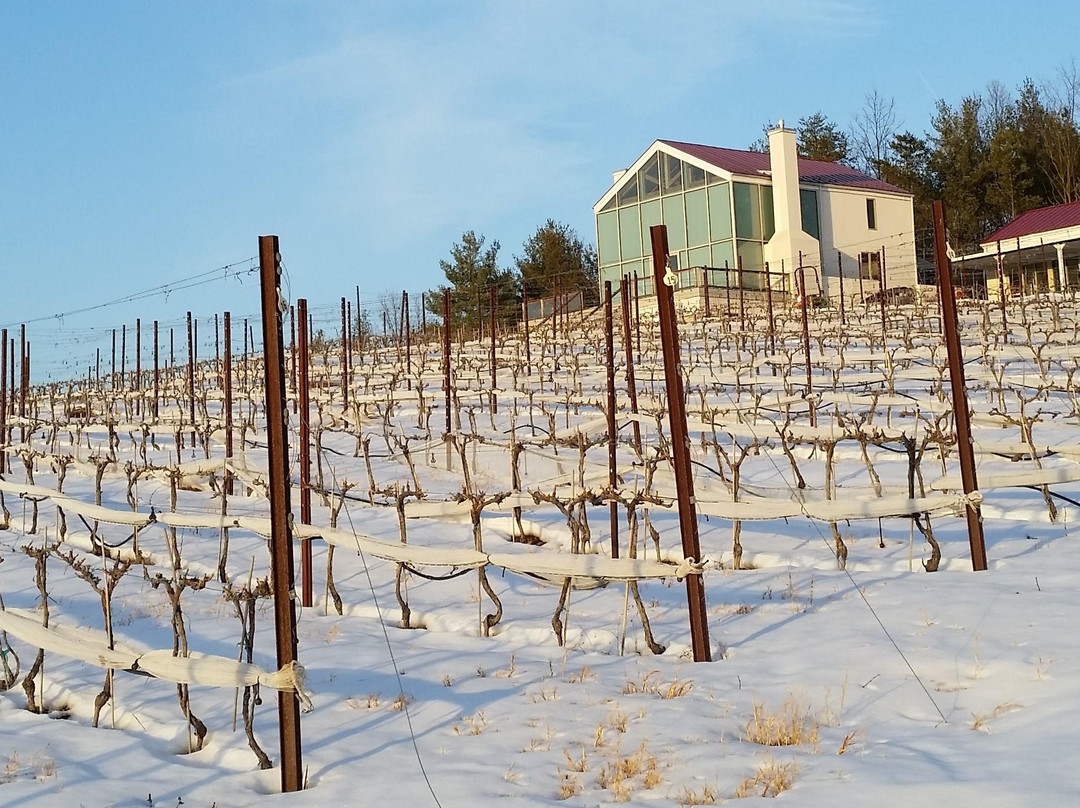 Moss Vineyards-Dyke必去景点