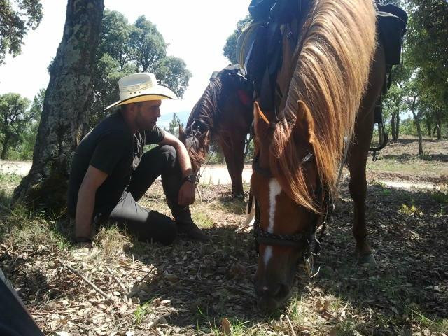 Cabalgando Hacia lo Salvaje-巴塞罗那必去景点