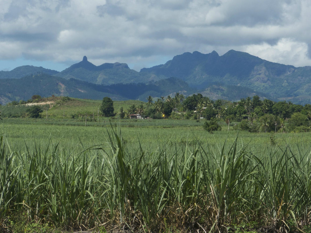 Fiji Eco Tours-纳迪市必去景点