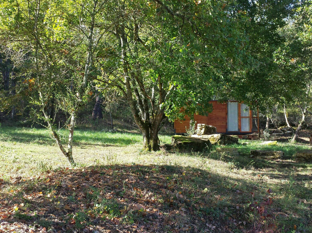 麦当娜迪玻吉露营地