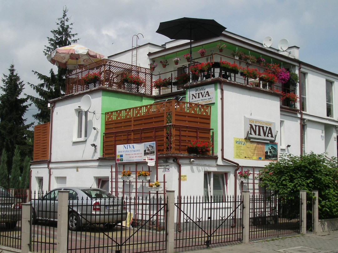 Pensjonat Niva主图