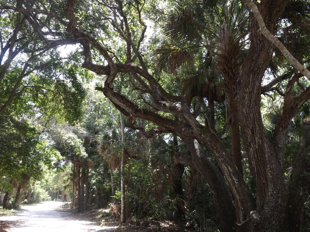Turtle Mound National Historic Site景点图片