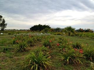 Munay Pampa-Minuano必去景点