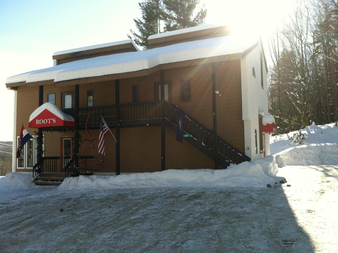 Root's Ski & Snowboard-基灵顿必去景点