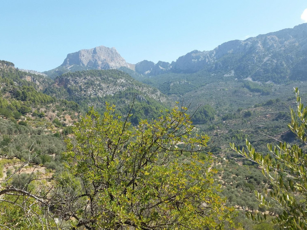 Sa Figuera Path景点图片