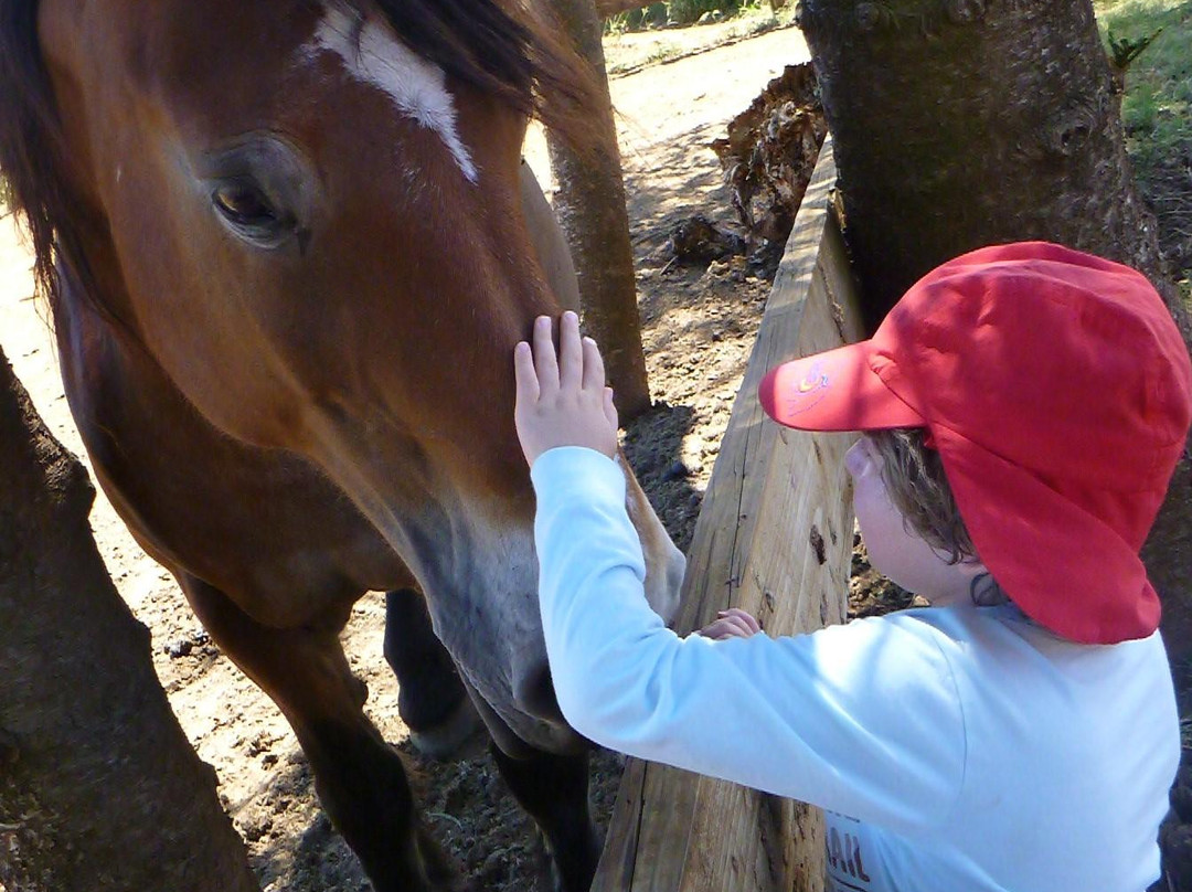 枪托牧场-拉叶必去景点