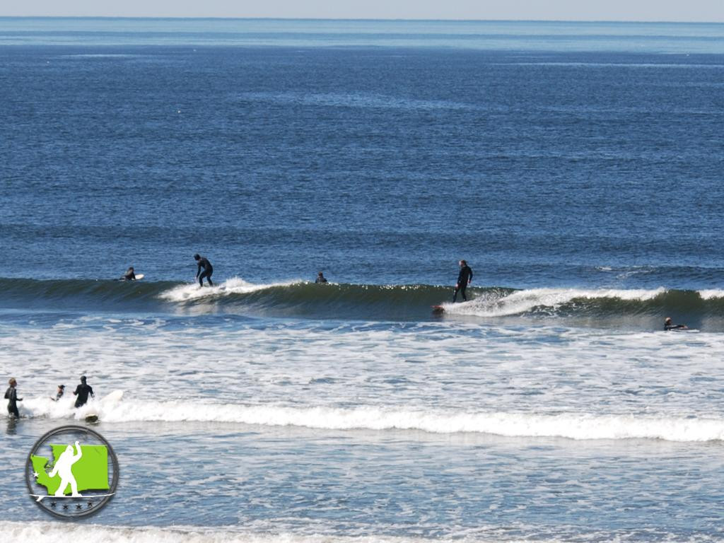 BigFoot Surf景点图片