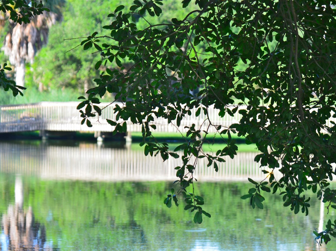 Wild Dunes Resort Golf-棕榈岛必去景点