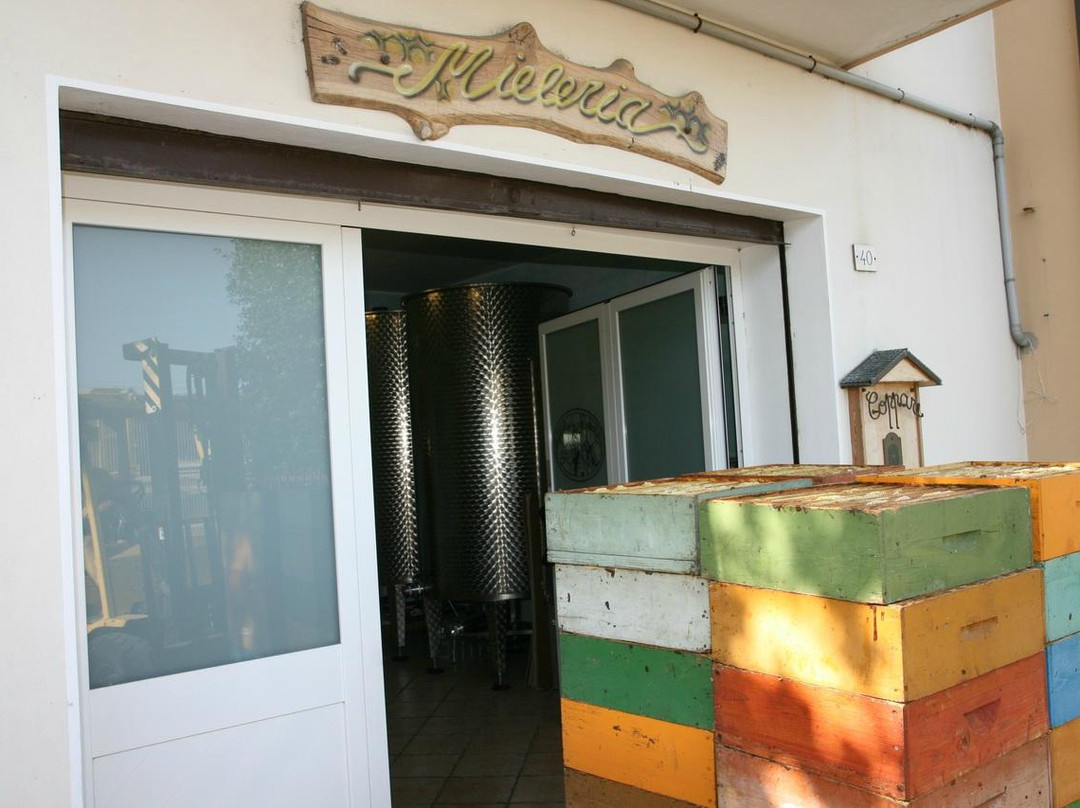 Apicoltura Coppari-Chiaravalle必去景点