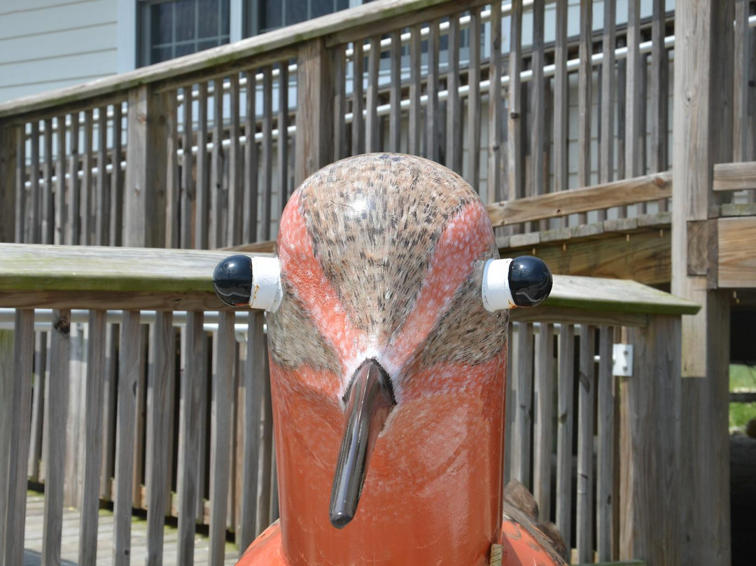 DuPont Nature Center-Milford必去景点