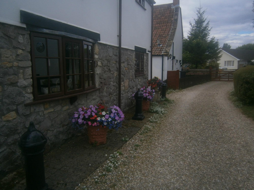 Prospect Farm