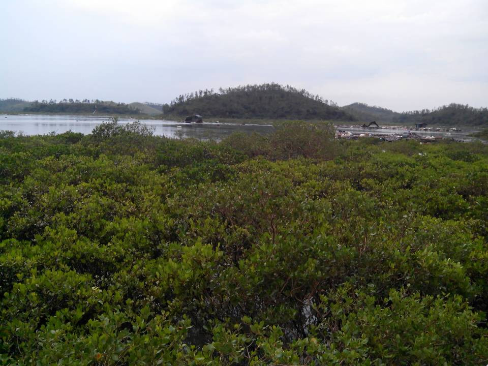 仙岛公园-钦州市必去景点