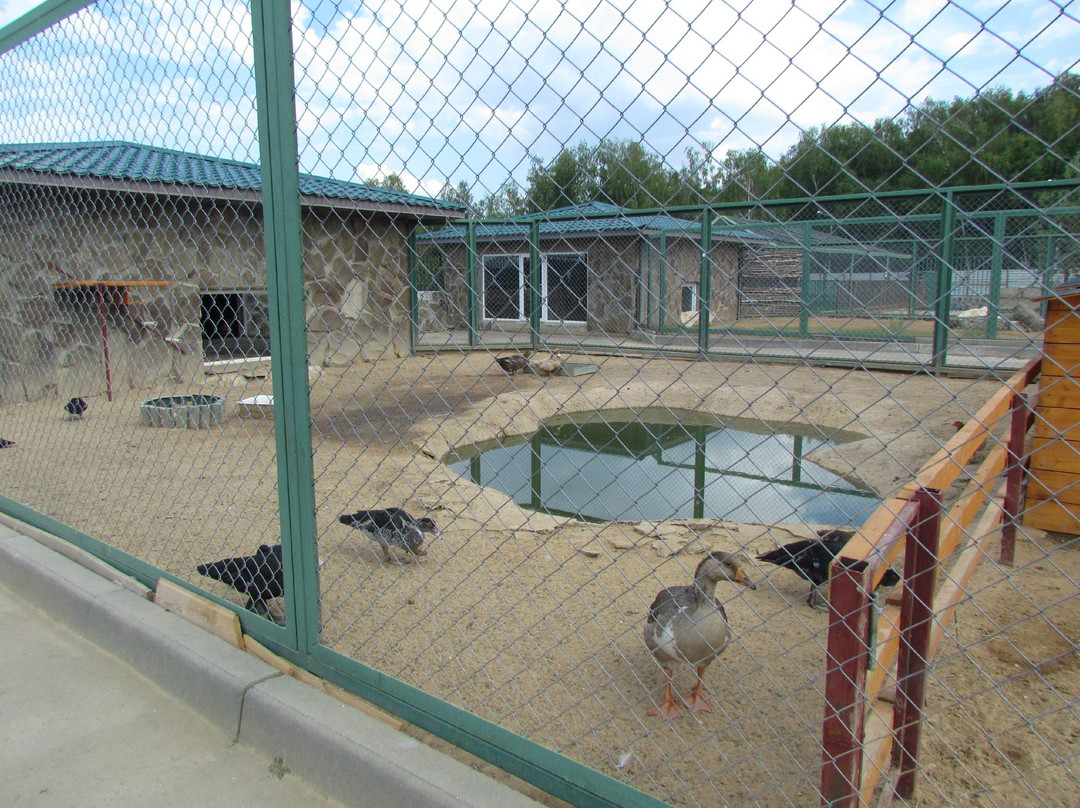 Ekzootik Park-Moscow Oblast必去景点