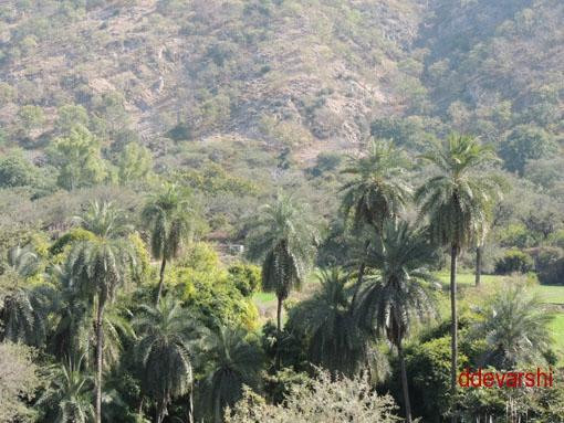 Jamva Ramgarh Wildlife Sanctuary-斋蒲尔必去景点