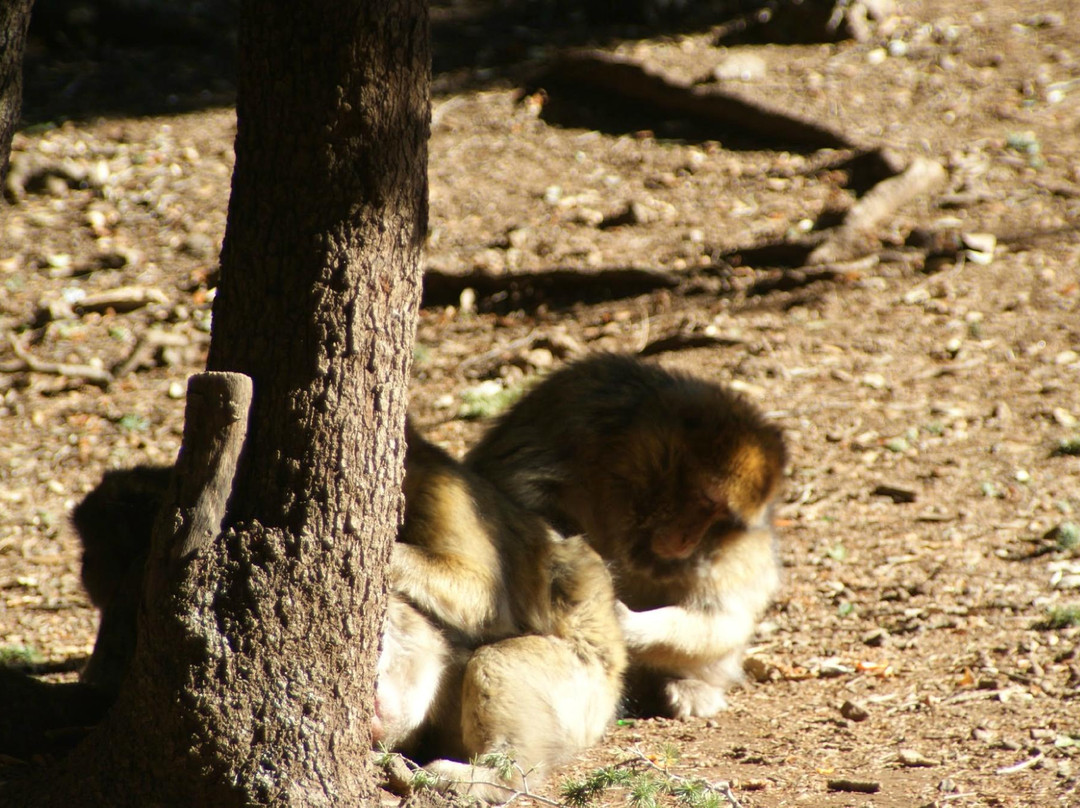 Scoprire il Marocco-马拉喀什必去景点