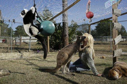 Exotic Animal Experience-奥兰多必去景点