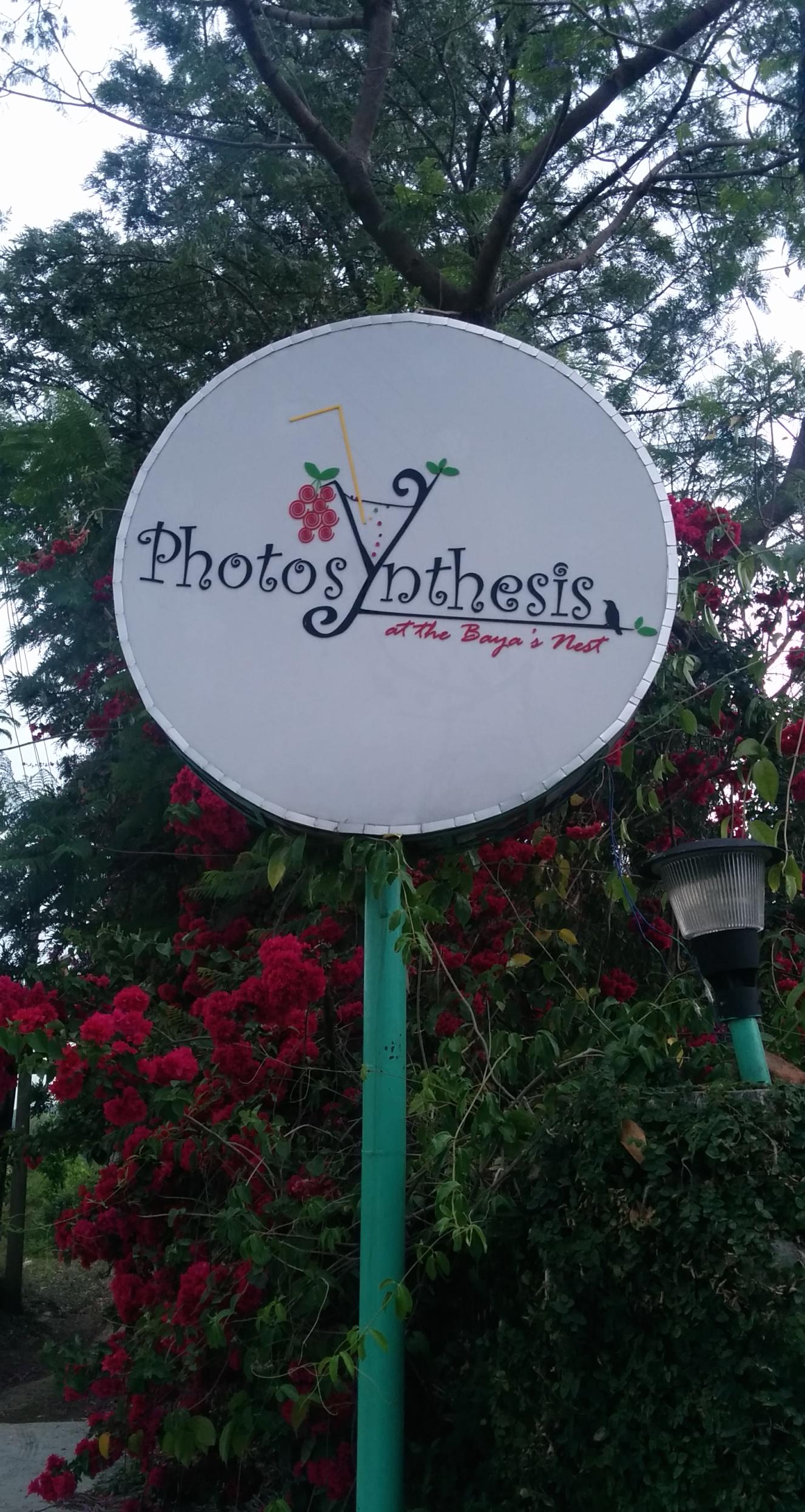 Photosynthesis-官方