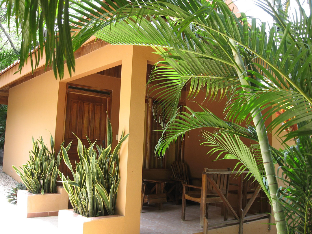 Ritmo Tropical Hotel主图