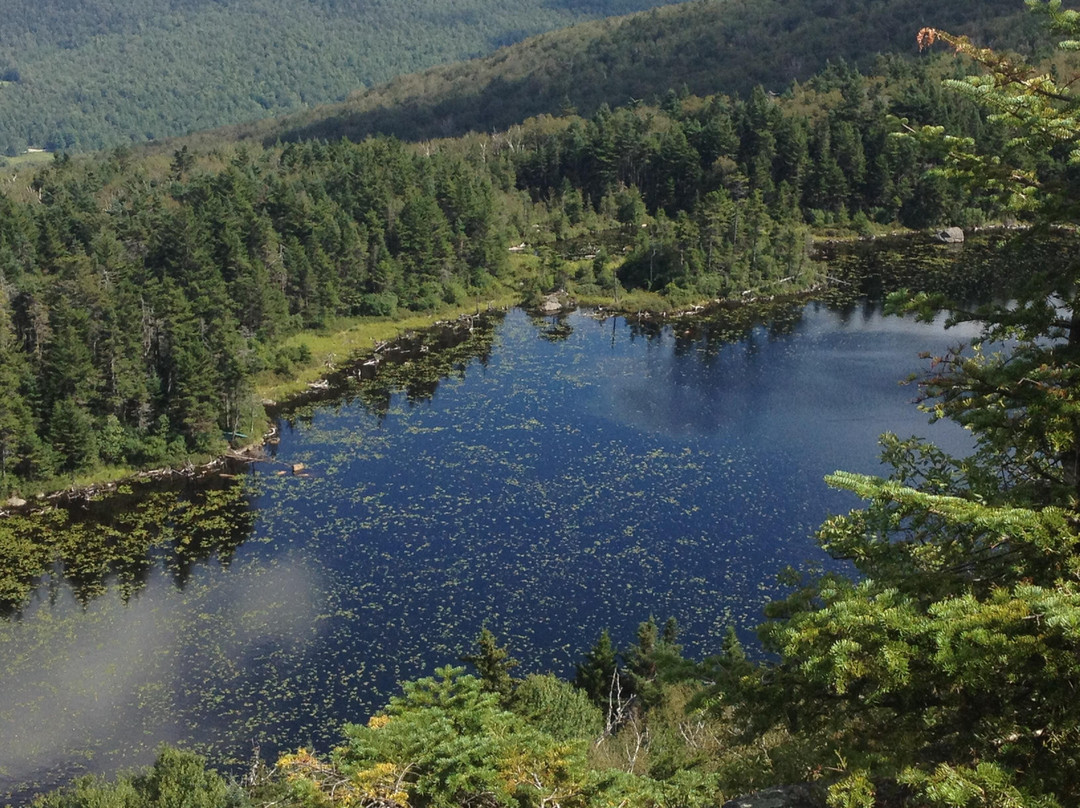 Mount Sunapee旅游攻略图片