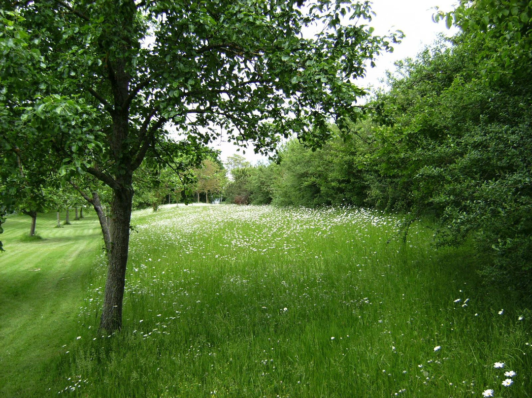 Ostpark景点图片