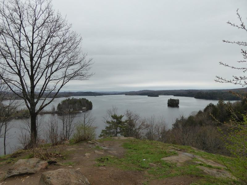 Lions Lookout-亨茨维尔必去景点