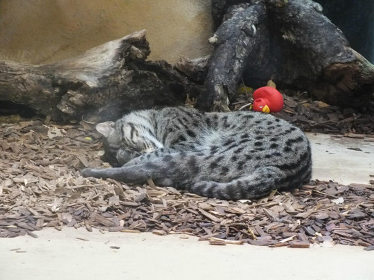 慕尼黑动物园-慕尼黑必去景点