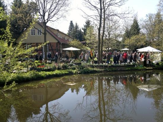 Kloster Wienhausen-Wienhausen必去景点