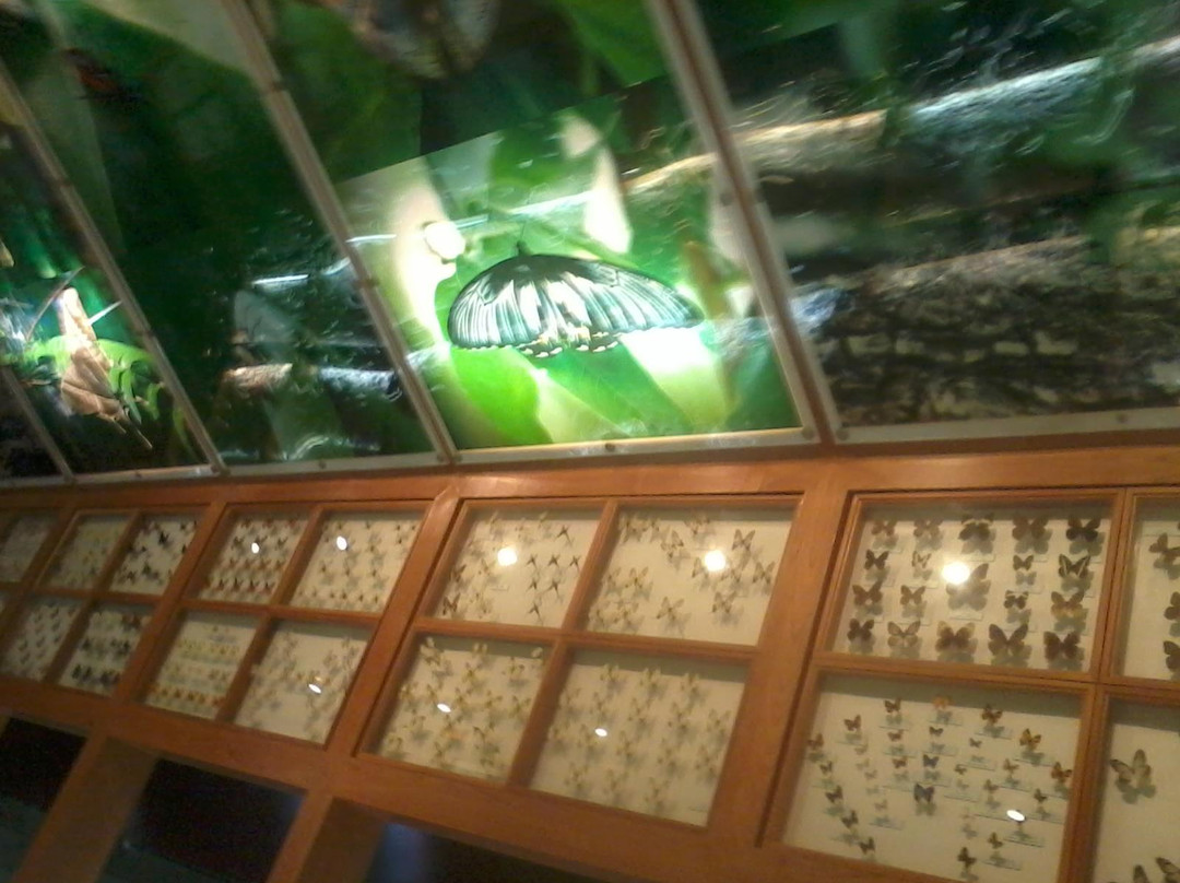 昆明动物博物馆-昆明市必去景点