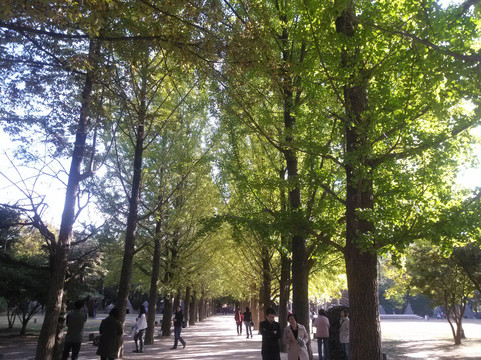 HaB Korea-首尔必去景点