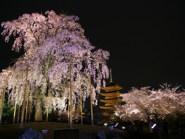 东寺-京都市必去景点