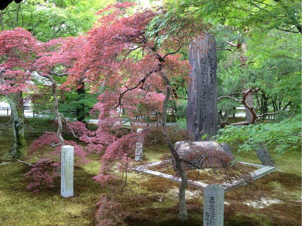东福寺-京都市必去景点