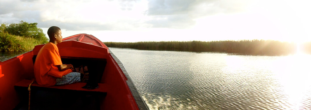 Buttonwood JA - Tours-瑰宝滩必去景点