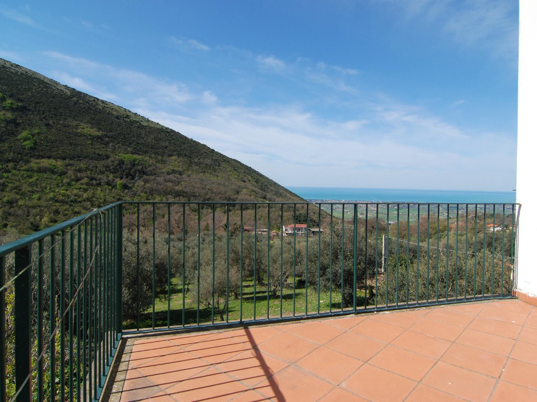 B&B Monticello主图