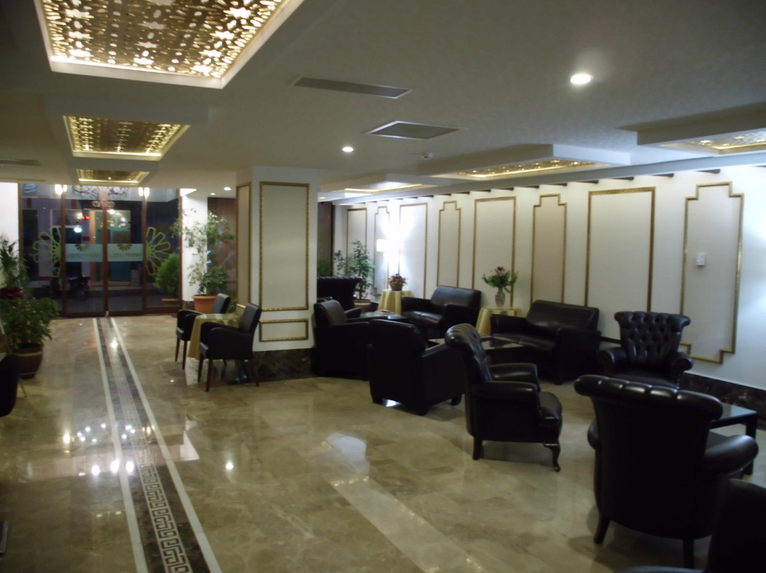 Nadir Business Otel主图