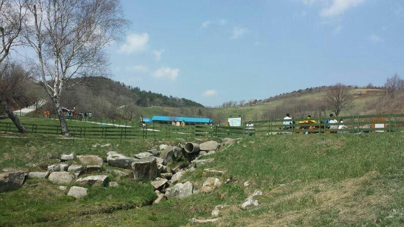 Daegwanryeong Yangtte Ranch-平昌郡必去景点