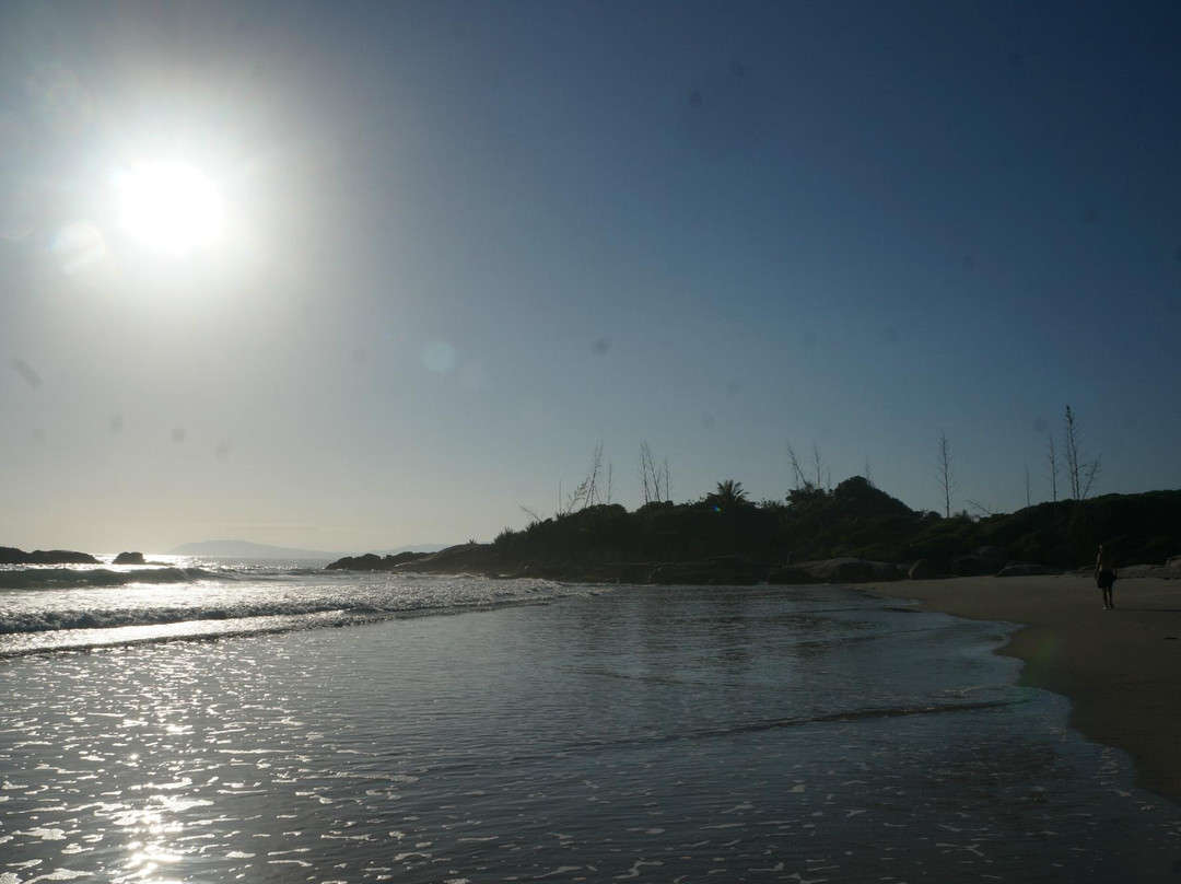 Grande Beach (Caravelas)景点图片