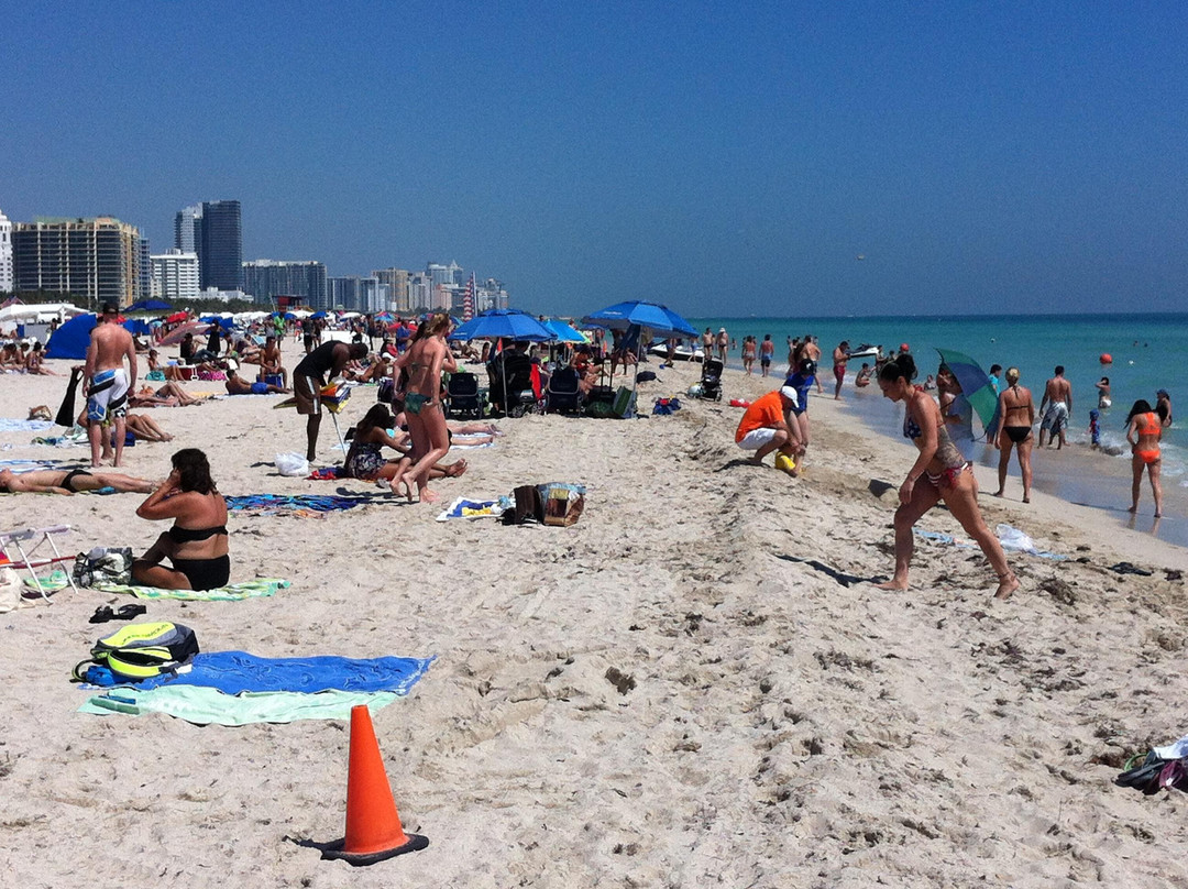 海洋大道-迈阿密海滩必去景点