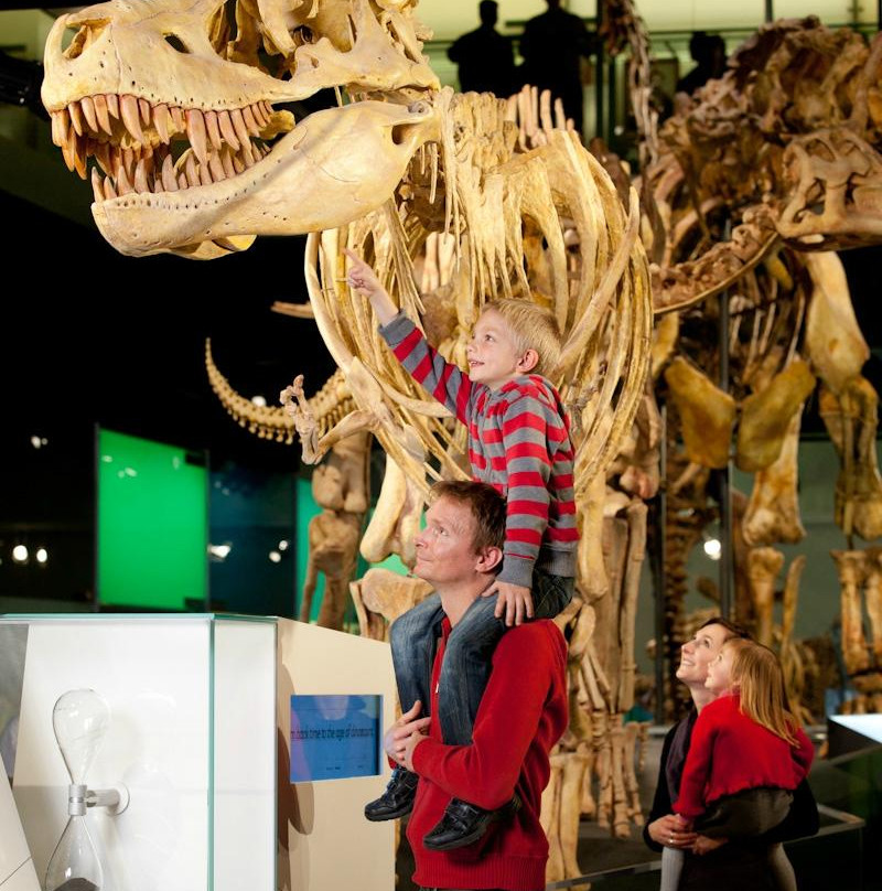 墨尔本博物馆-墨尔本必去景点