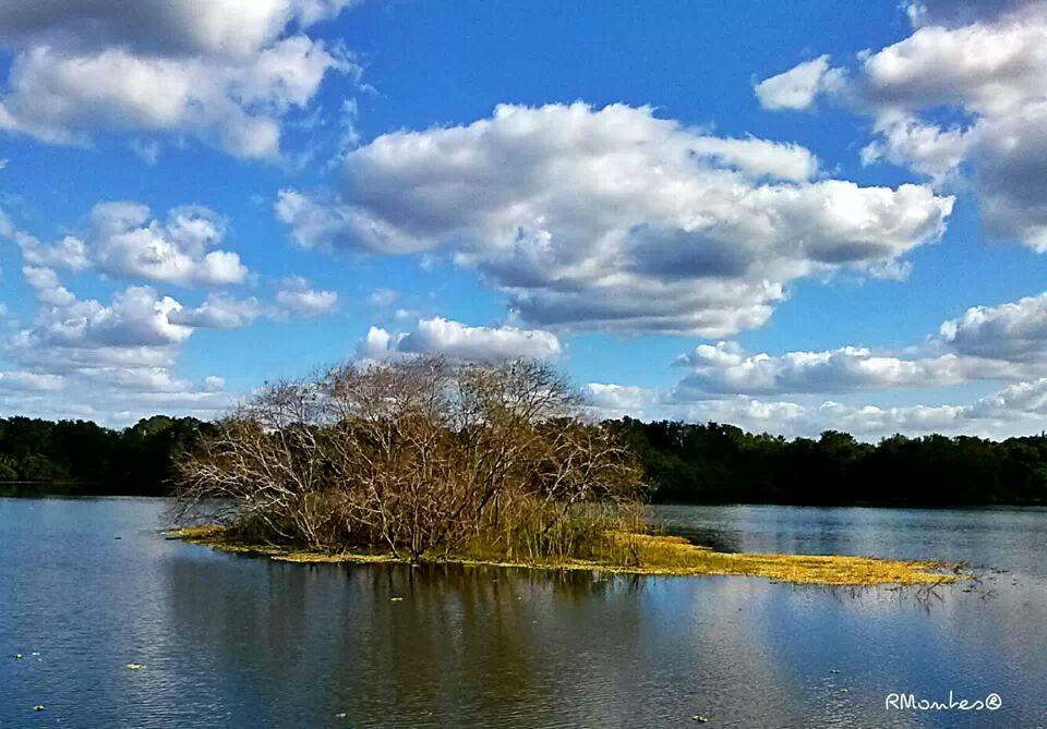 Edward Medard Regional Park-普兰特城必去景点