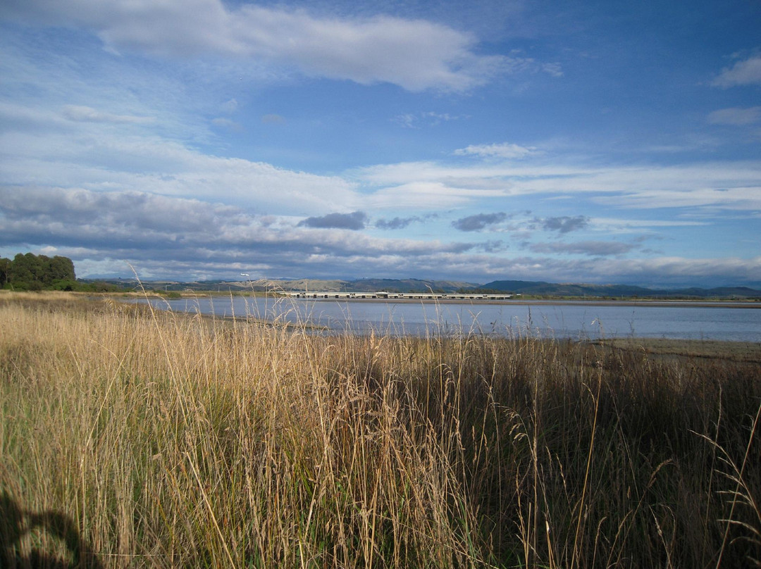 Ahuriri Estuary Walk景点图片