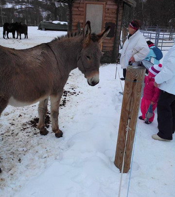 Asinerie de Valloirette-Valloire必去景点