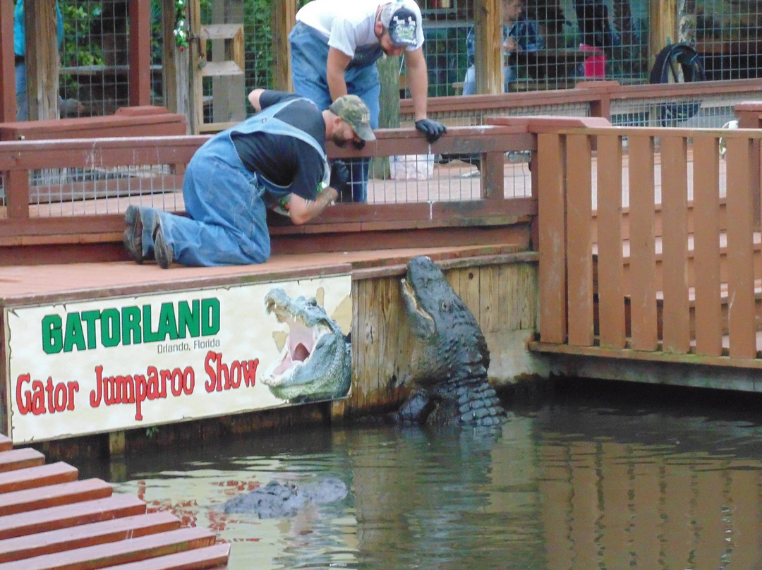 鳄鱼乐园-奥兰多必去景点