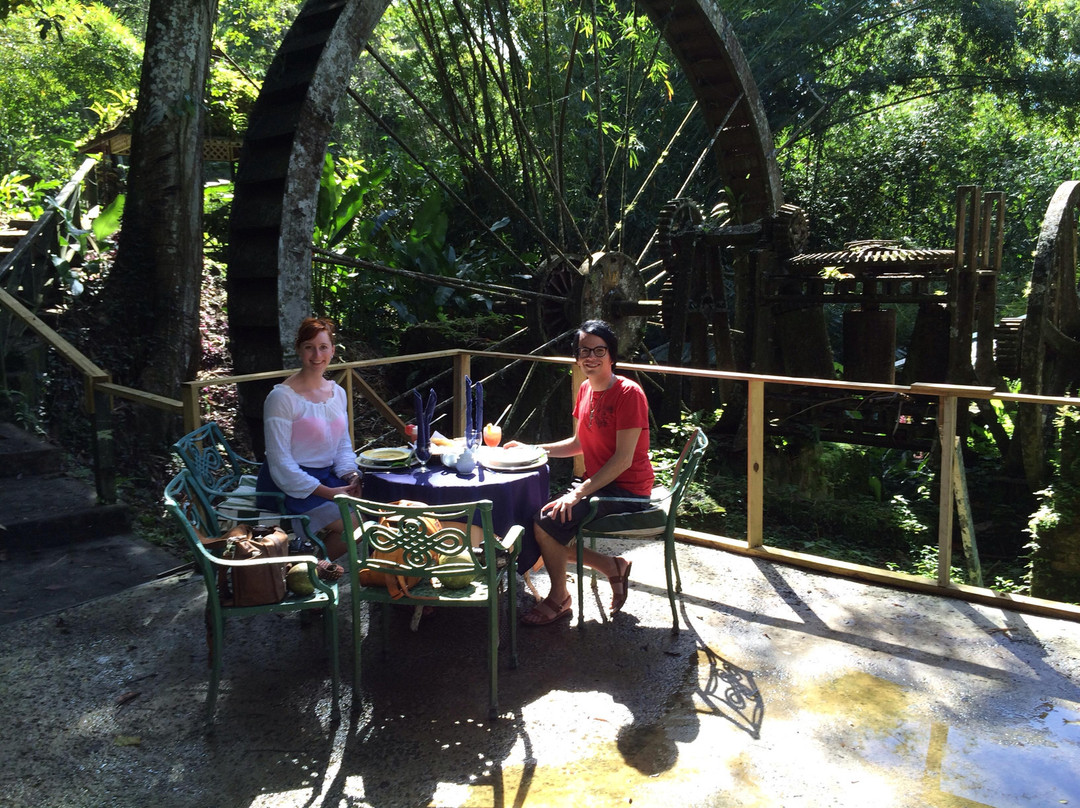 Arnos Vale Waterwheel and Nature Park-多巴哥必去景点