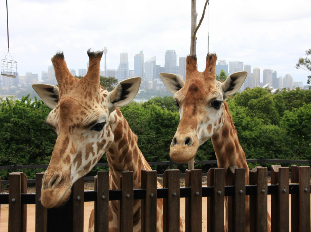 塔瑞噶野生动物园-莫斯曼必去景点