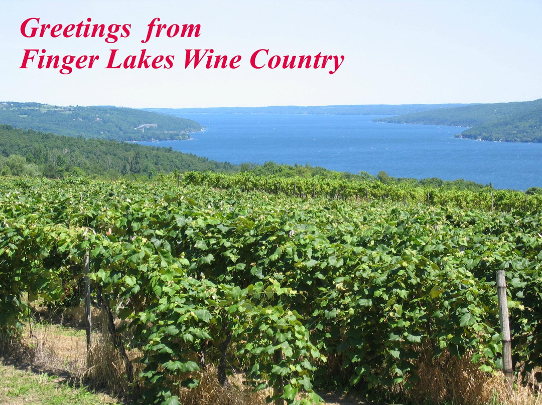 Quality Wine Tours-Pittsford必去景点