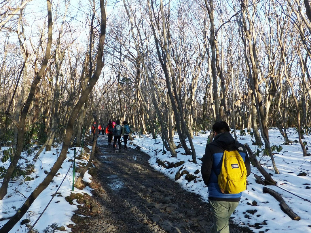 汉拿山城板岳-济州必去景点